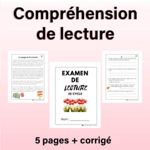 Compréhension de lecture pour les élèves de 5e et 6e année au 2e cycle du primaire.