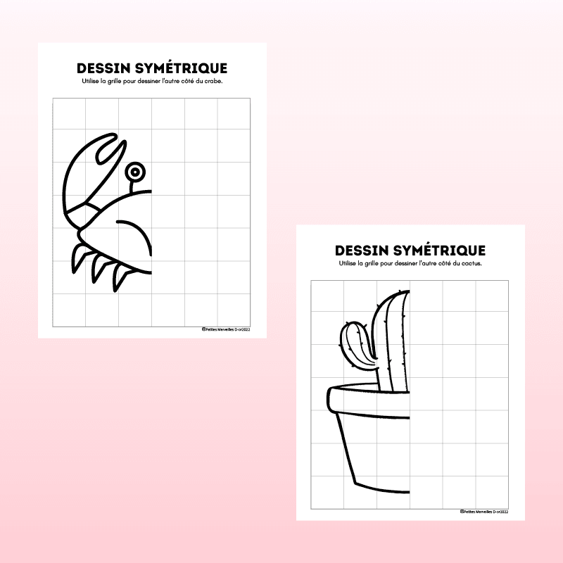 Cahier de dessins symétriques à imprimer pour enfants au primaire.